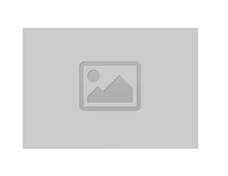 Condylar Femur Plate Locking 4.5mm